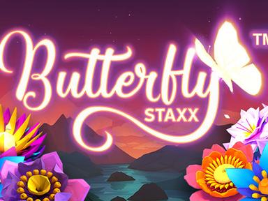 butterflystaxx_Horizontal.jpg