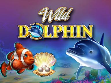 wilddolphin_Horizontal.jpg
